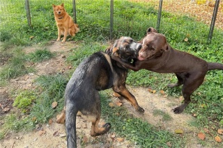 3710 Dill Lake Road Unit# 17, Sudbury Ontario