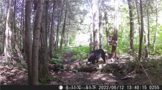 Lot 0 Whitewater, Azilda Ontario