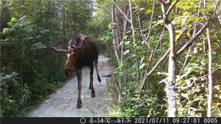Lot 0 Whitewater, Azilda Ontario
