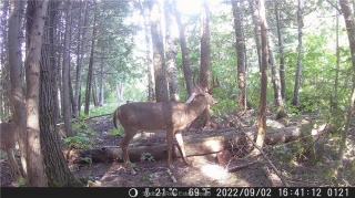 Lot 0 Whitewater, Azilda Ontario