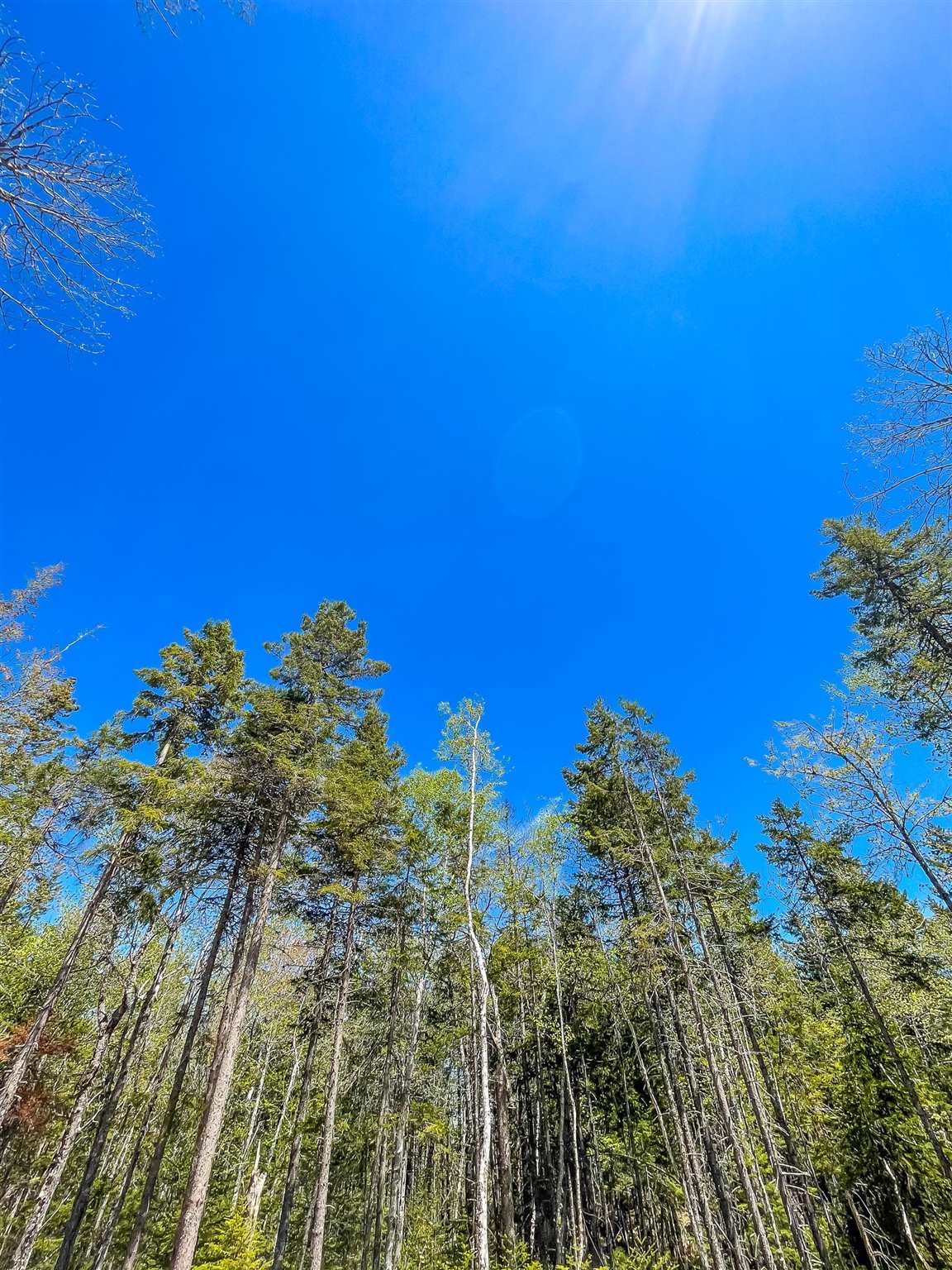 Lot 24 Loon Lane, Aylesford, Nova Scotia, Canada
