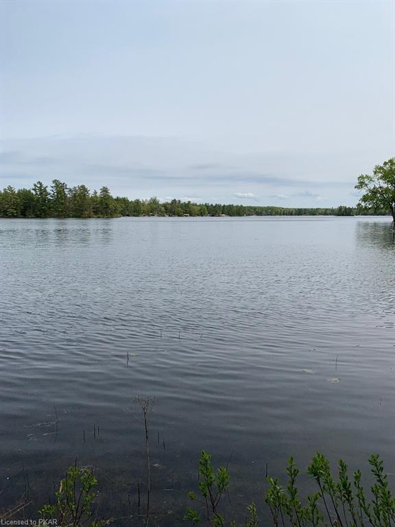 00 FIRE ROUTE 89 (LOT 2) ., Buckhorn Ontario, Canada