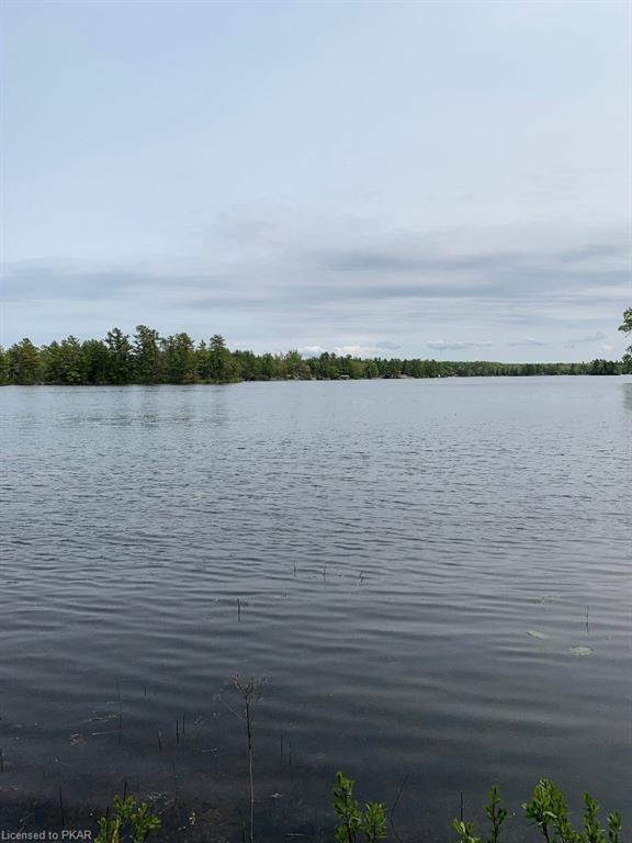00 FIRE ROUTE 89 (LOT 2) ., Buckhorn Ontario, Canada