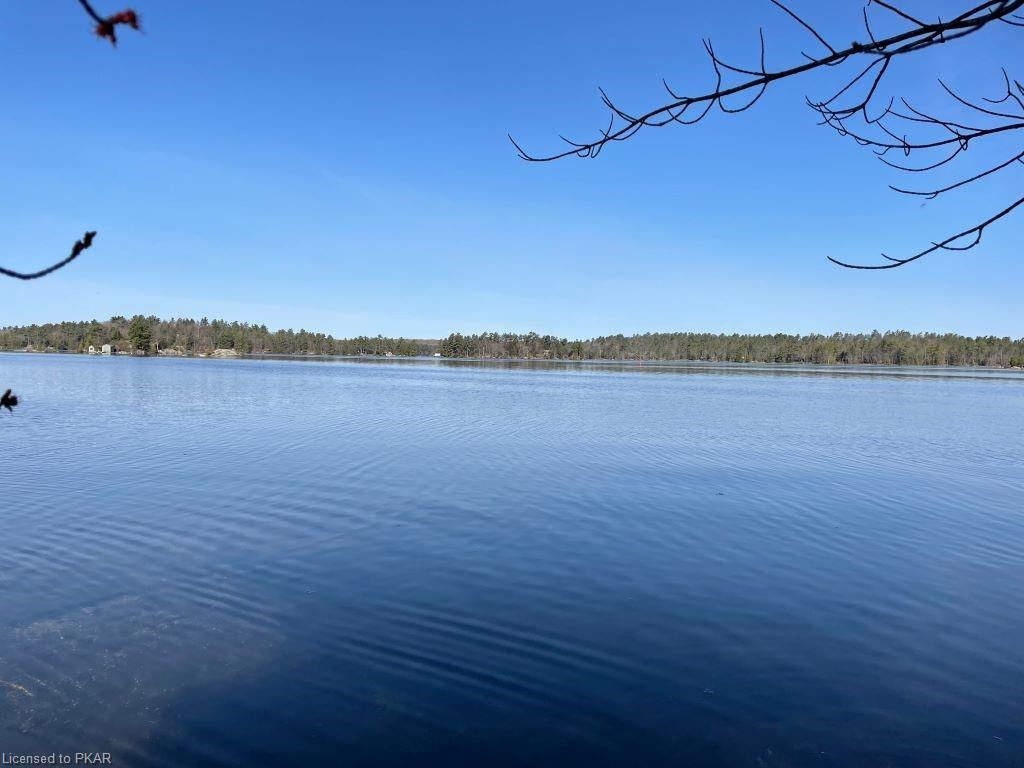 338 ISLAND 7, Lakefield, Ontario, Canada