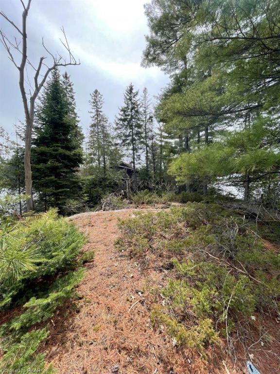 338 ISLAND 7, Lakefield, Ontario, Canada