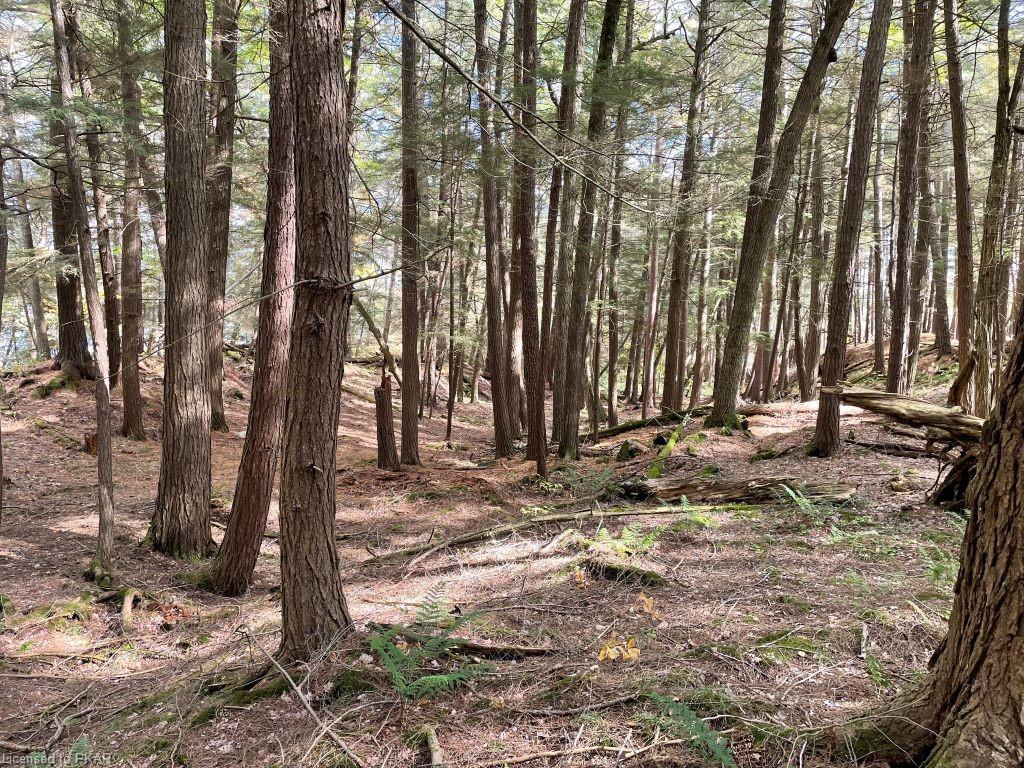 CASEMENT ISLAND LOT 15, North Kawartha Township, Ontario, Canada