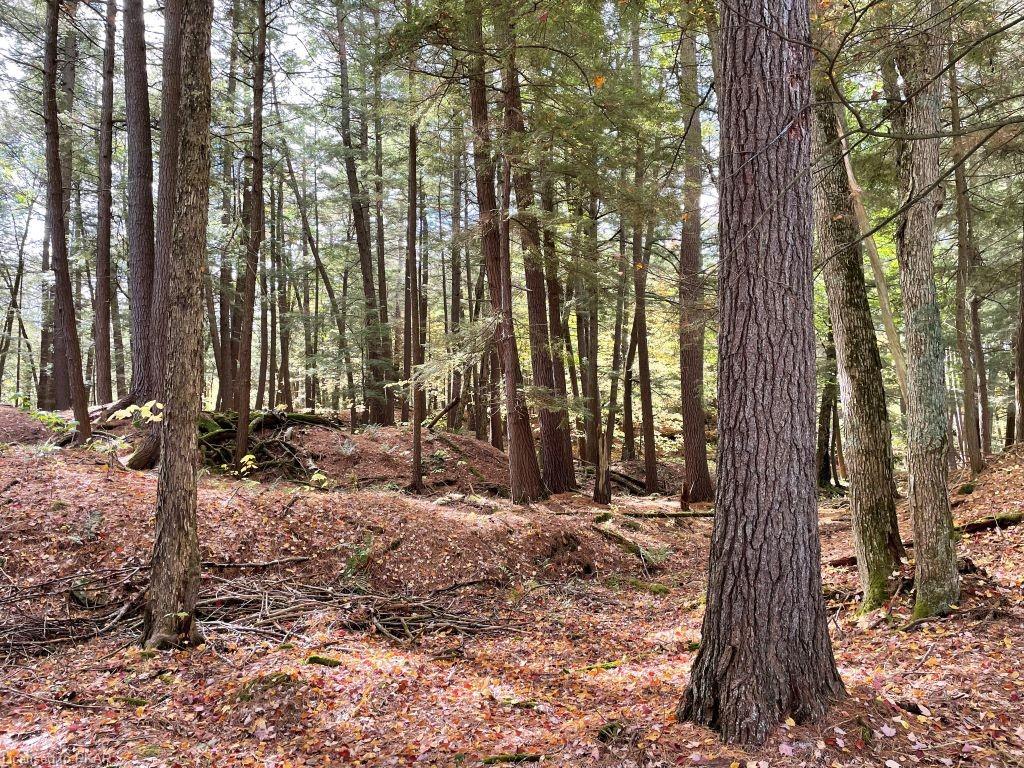 CASEMENT ISLAND LOT 15, North Kawartha Township, Ontario, Canada