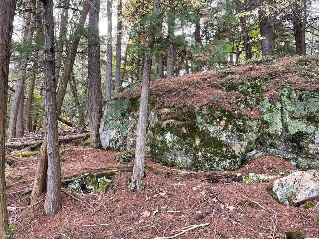 CASEMENT ISLAND LOT 15, North Kawartha Township, Ontario, Canada