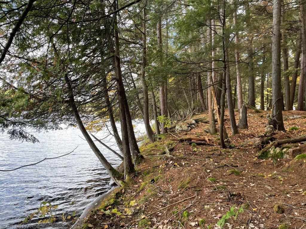 CASEMENT ISLAND LOT 15, North Kawartha Township, Ontario, Canada