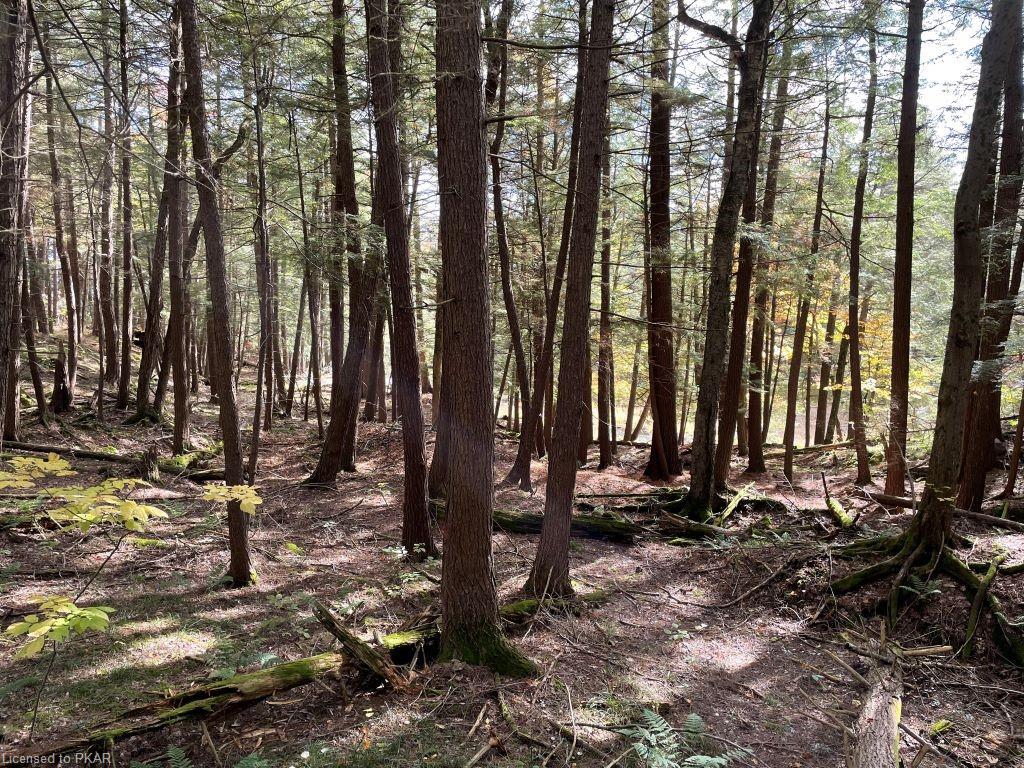 CASEMENT ISLAND LOT 15, North Kawartha Township, Ontario, Canada