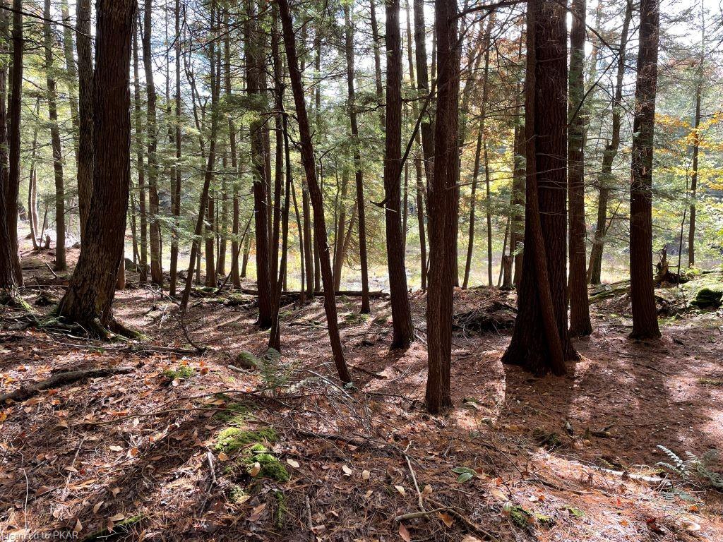 CASEMENT ISLAND LOT 15, North Kawartha Township, Ontario, Canada