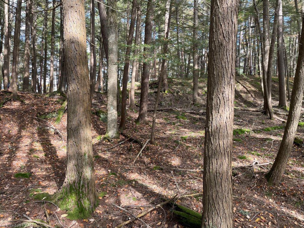 CASEMENT ISLAND LOT 15, North Kawartha Township, Ontario, Canada