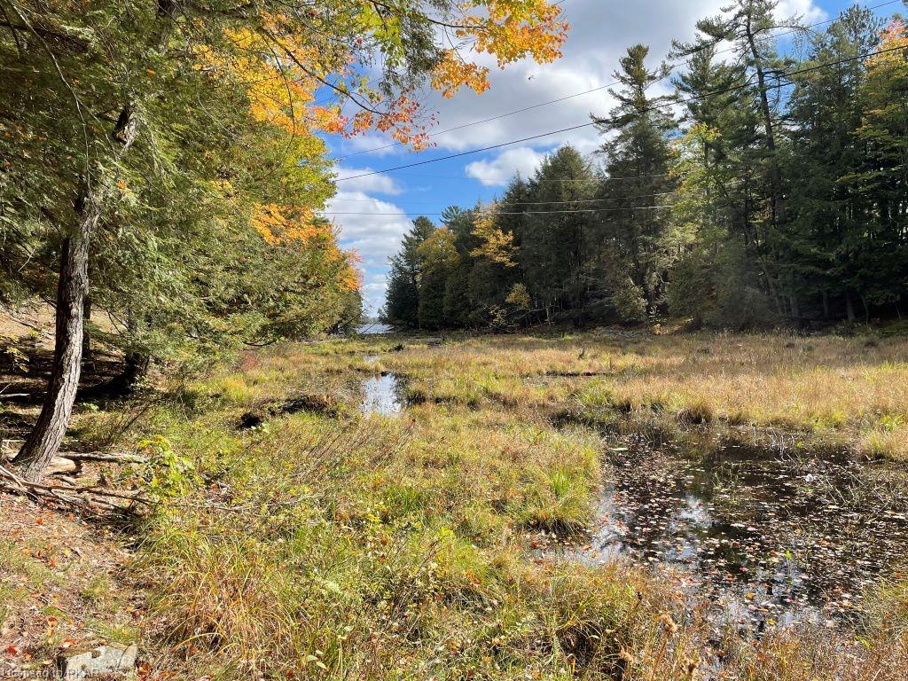 CASEMENT ISLAND LOT 15, North Kawartha Township, Ontario, Canada