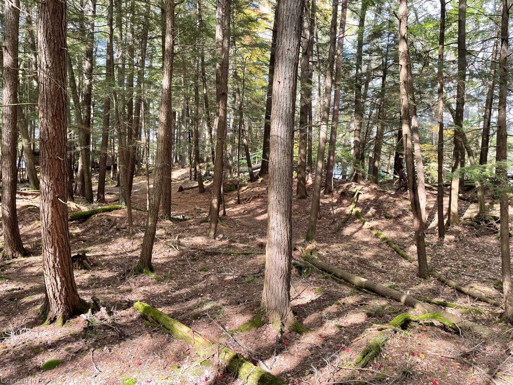 CASEMENT ISLAND LOT 15, North Kawartha Township, Ontario, Canada