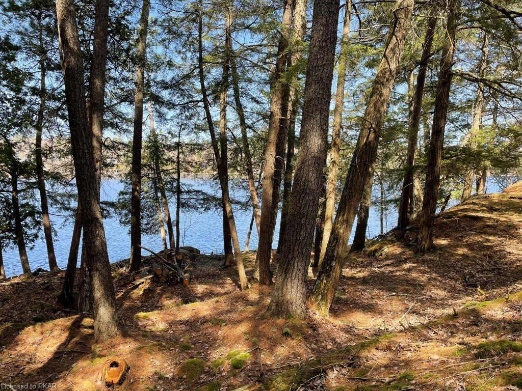 CASEMENT ISLAND LOT 16, North Kawartha Township, Ontario, Canada