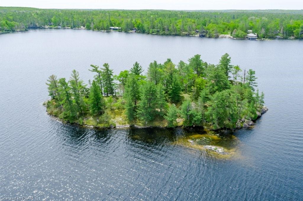 1260 ISLAND 40, Lakefield, Ontario, Canada