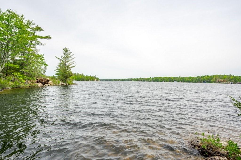 1260 ISLAND 40, Lakefield, Ontario, Canada
