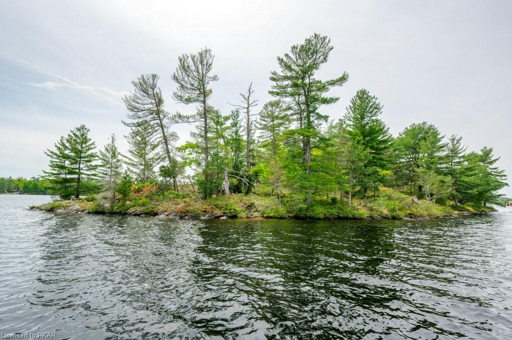 1260 ISLAND 40, Lakefield, Ontario, Canada