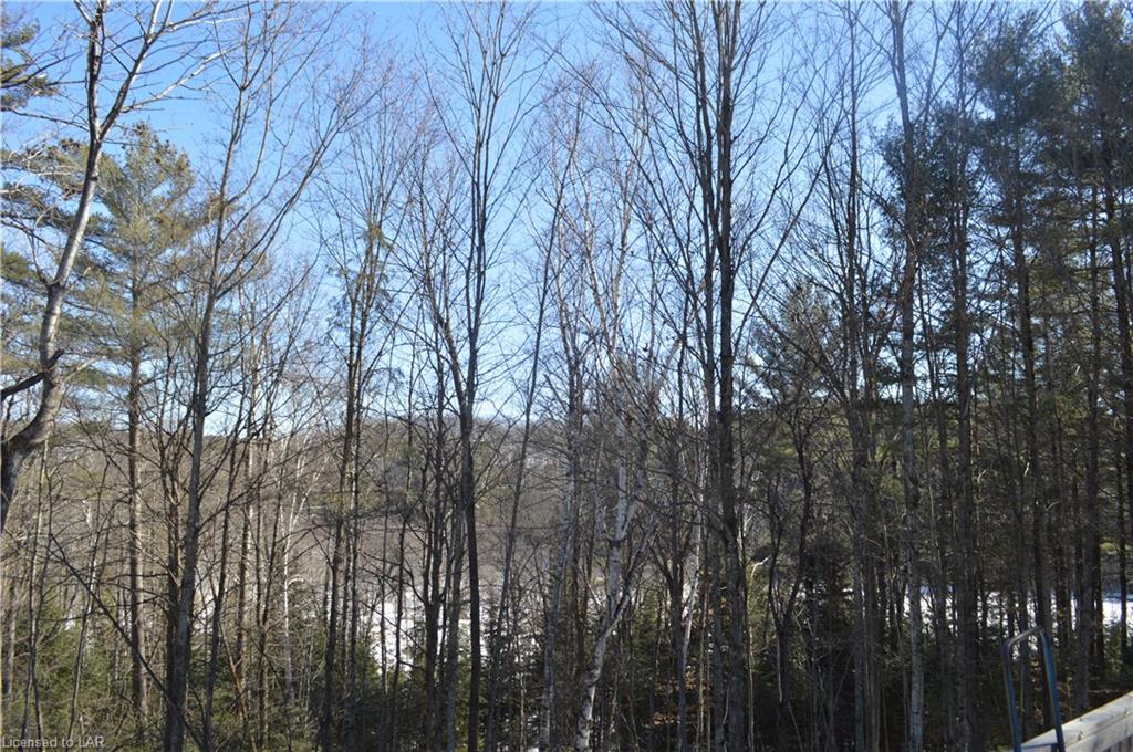14364 HIGHWAY 118 Highway, Haliburton, Ontario, Canada photo 15