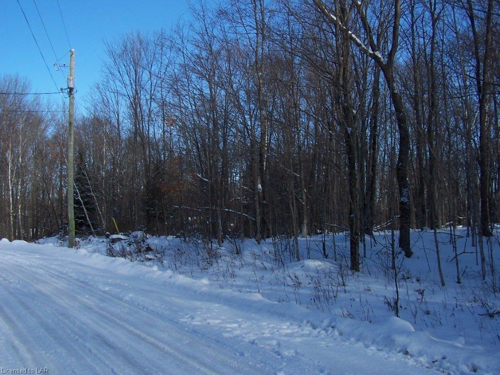 6 SKI RIDGE Trail, Eagle Lake Village, Ontario, Canada photo 5