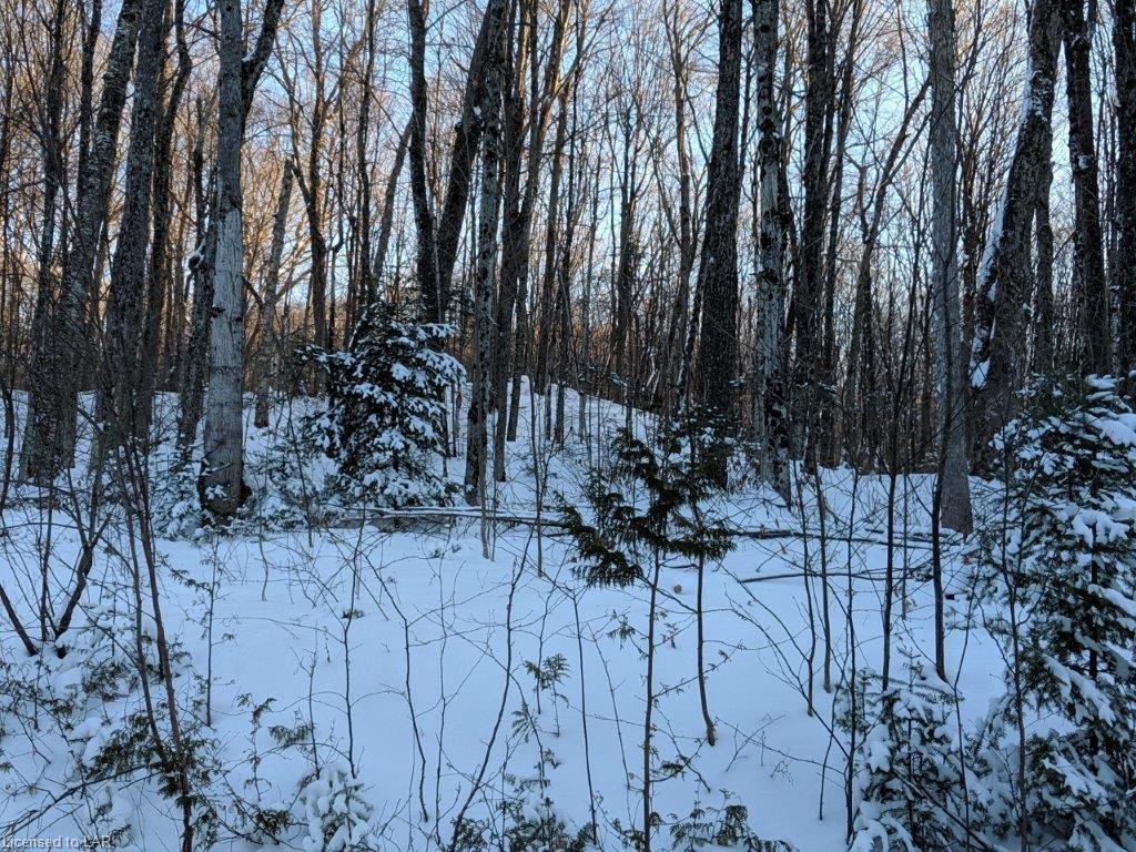 SOUTH KASHAGAWIGAMOG LAKE Road, Haliburton Ontario, Canada