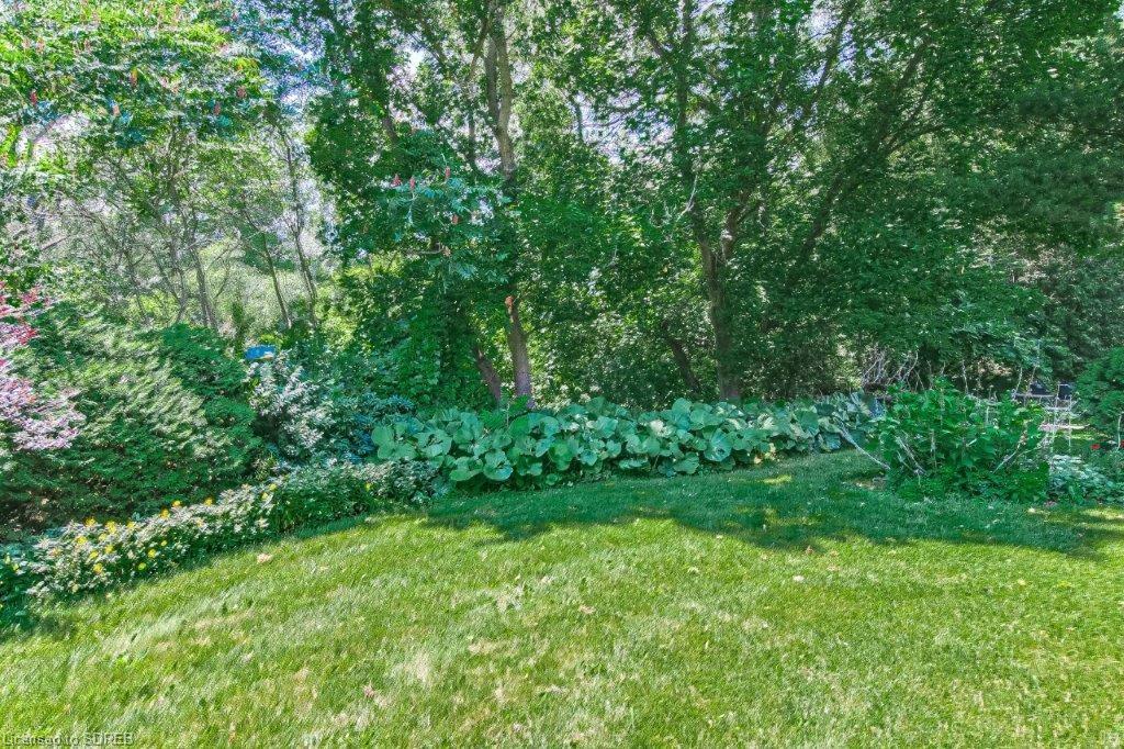 1295 WINDHAM 10 Road, Windham Centre, Ontario, Canada