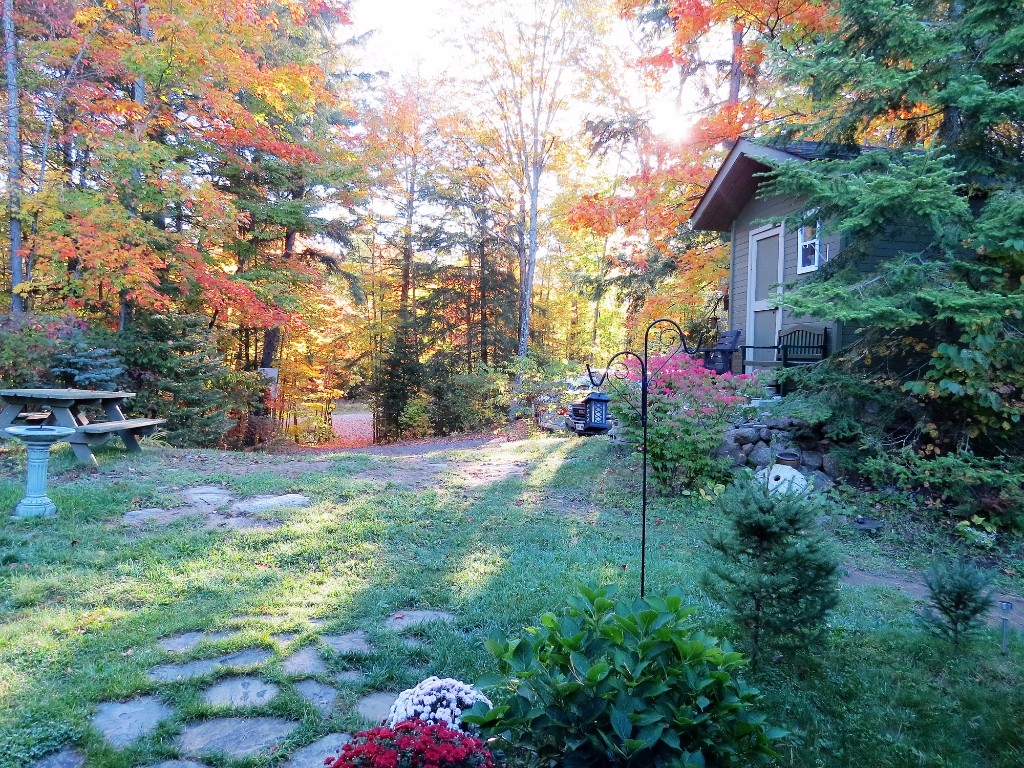 48 LAKEVIEW CRES, North Kawartha, Ontario, Canada