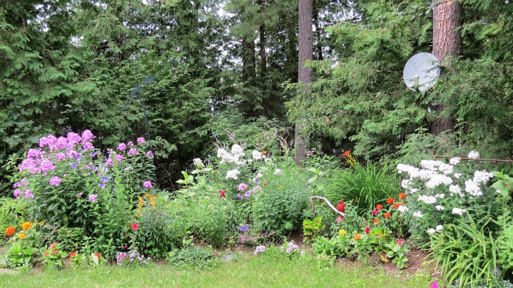 48 LAKEVIEW CRES, North Kawartha, Ontario, Canada