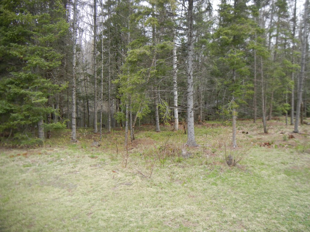 4611 COUNTY ROAD 504, North Kawartha, Ontario, Canada