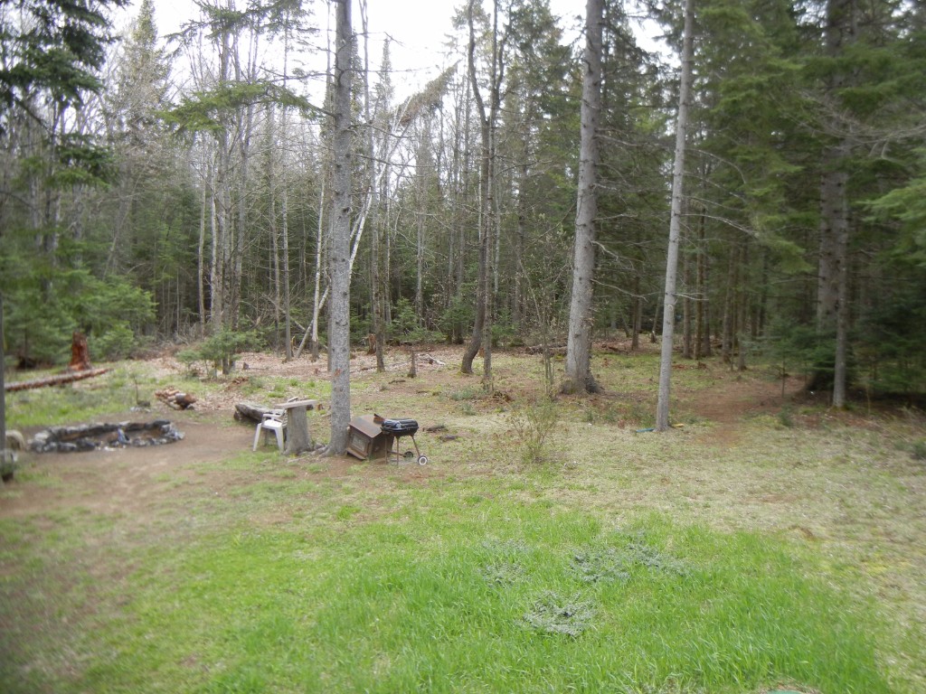 4611 COUNTY ROAD 504, North Kawartha, Ontario, Canada