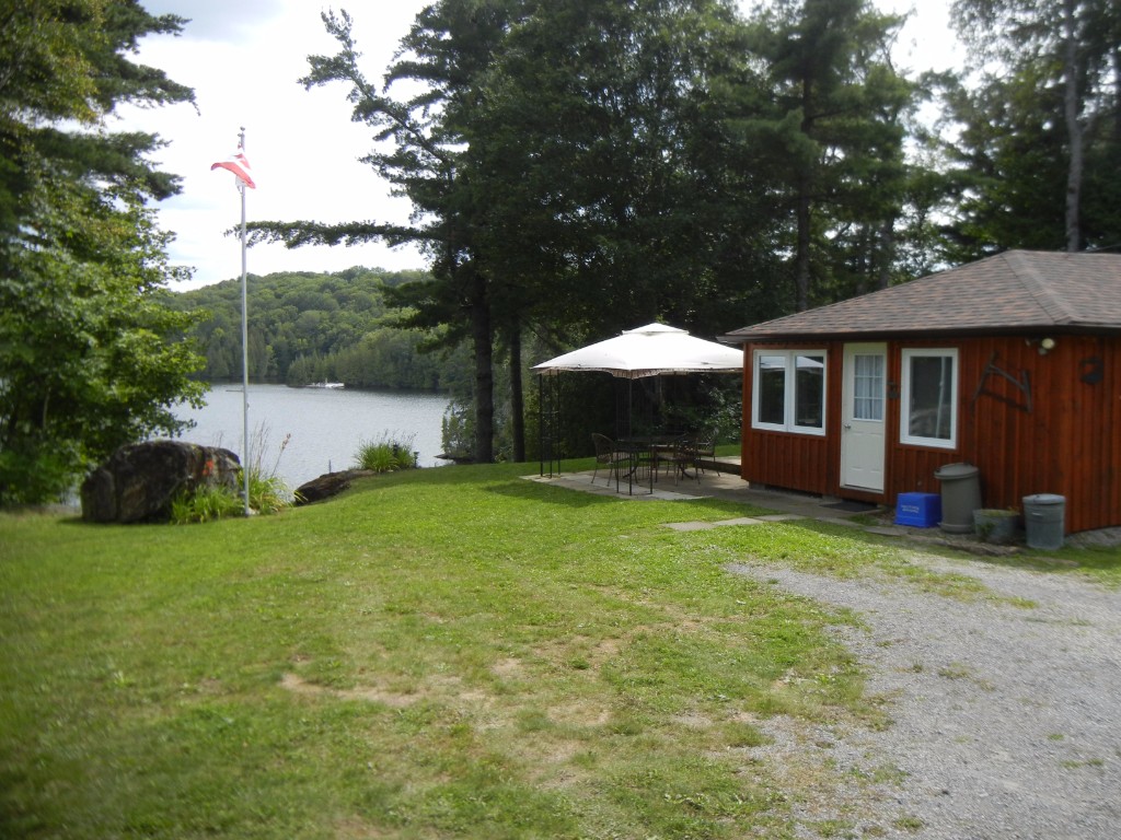 135 SCOTT SETTLEMENT RD, North Kawartha, Ontario, Canada