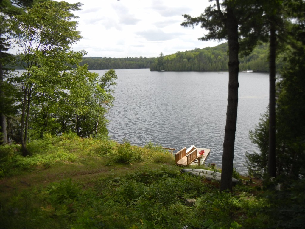 135 SCOTT SETTLEMENT RD, North Kawartha, Ontario, Canada