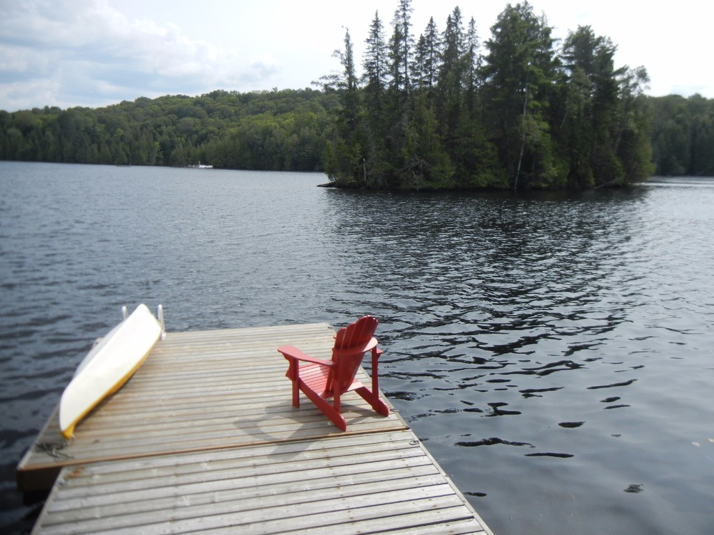 135 SCOTT SETTLEMENT RD, North Kawartha, Ontario, Canada