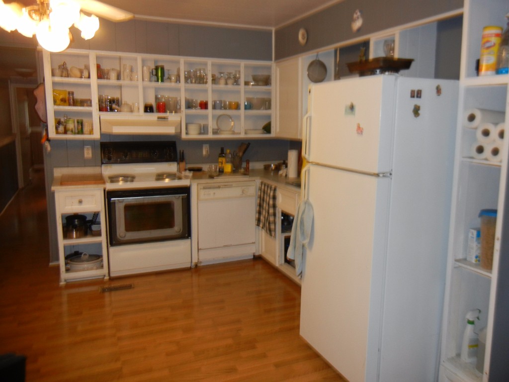559 GLEN ALDA RD, North Kawartha, Ontario, Canada