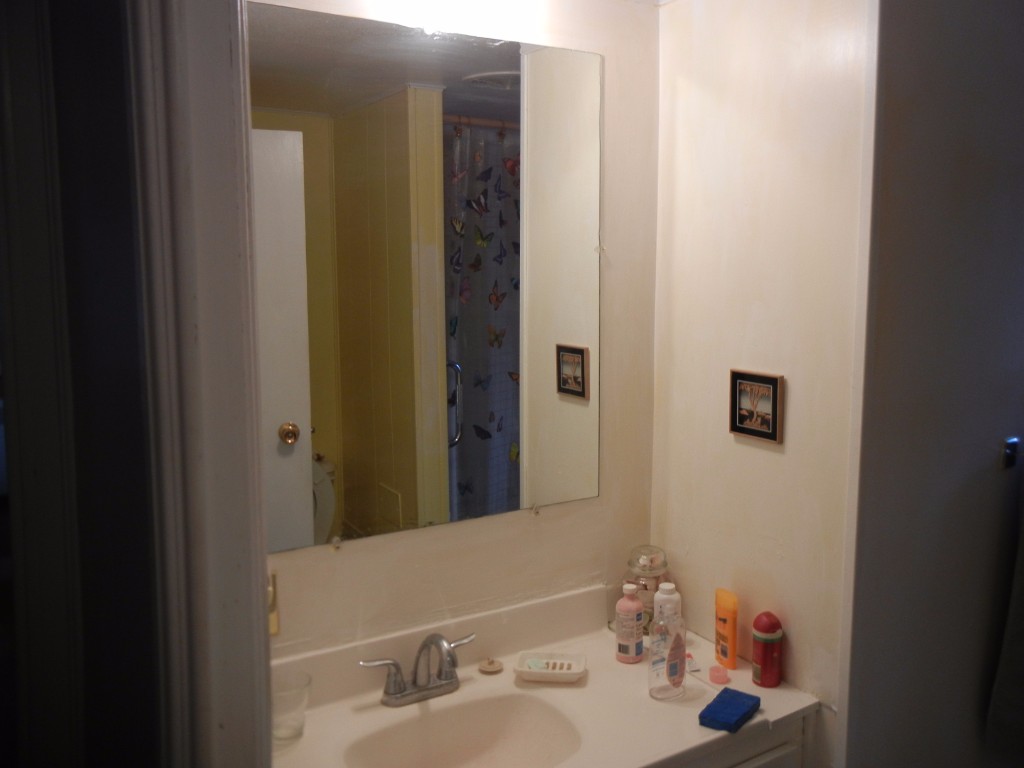 559 GLEN ALDA RD, North Kawartha, Ontario, Canada