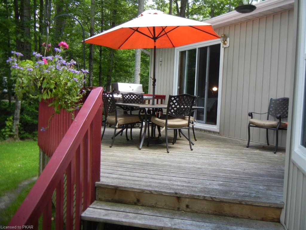 233 DOC EVANS Road, Apsley, Ontario, Canada