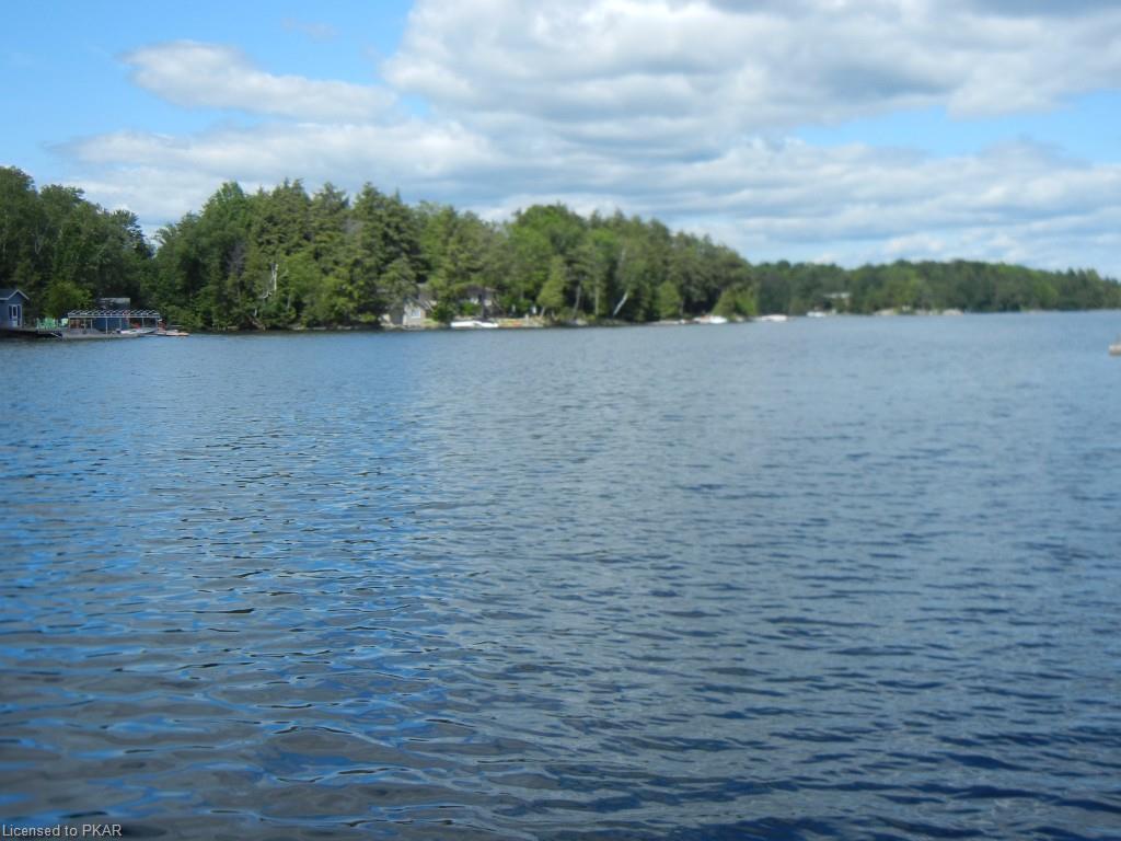 233 DOC EVANS Road, Apsley, Ontario, Canada