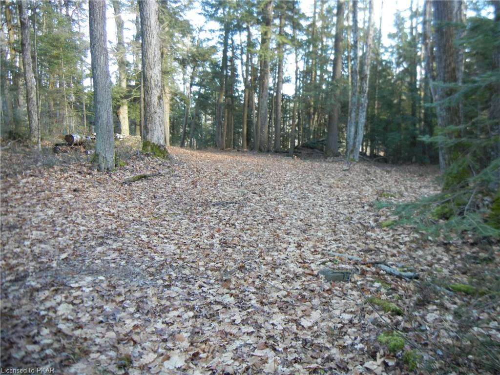 6 WINTER'S BAY ESTATES Road, North Kawartha Township, Ontario, Canada