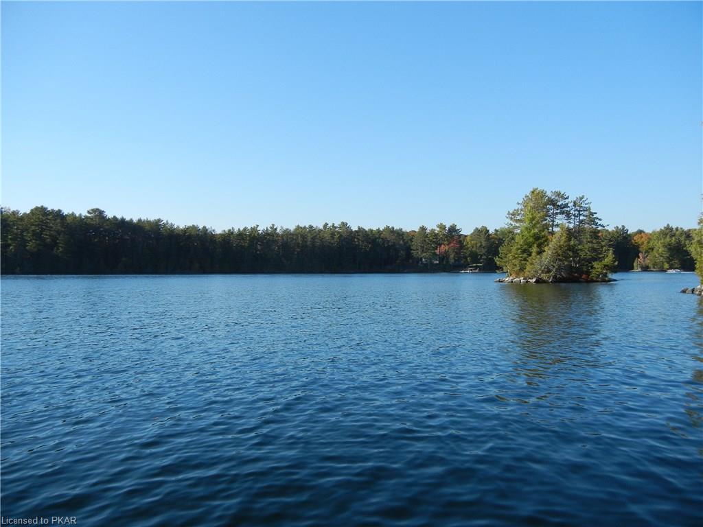 66 CEDAR Drive, North Kawartha Township, Ontario, Canada