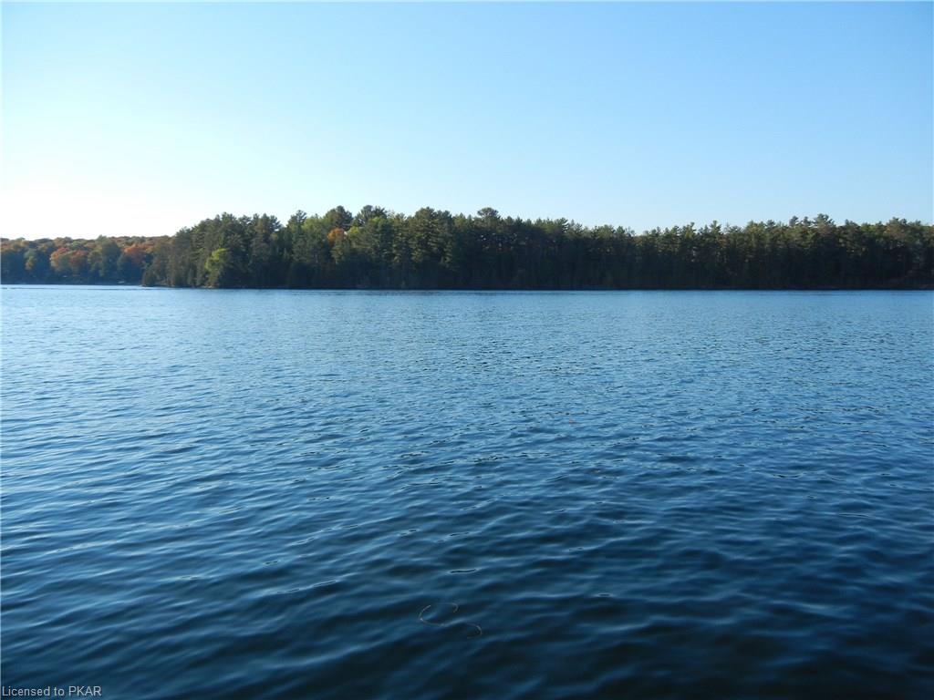 66 CEDAR Drive, North Kawartha Township, Ontario, Canada