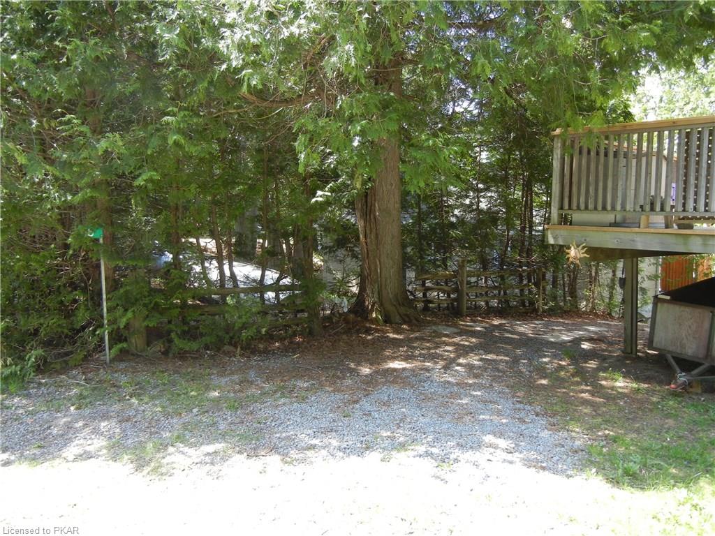 66 CEDAR Drive, North Kawartha Township, Ontario, Canada