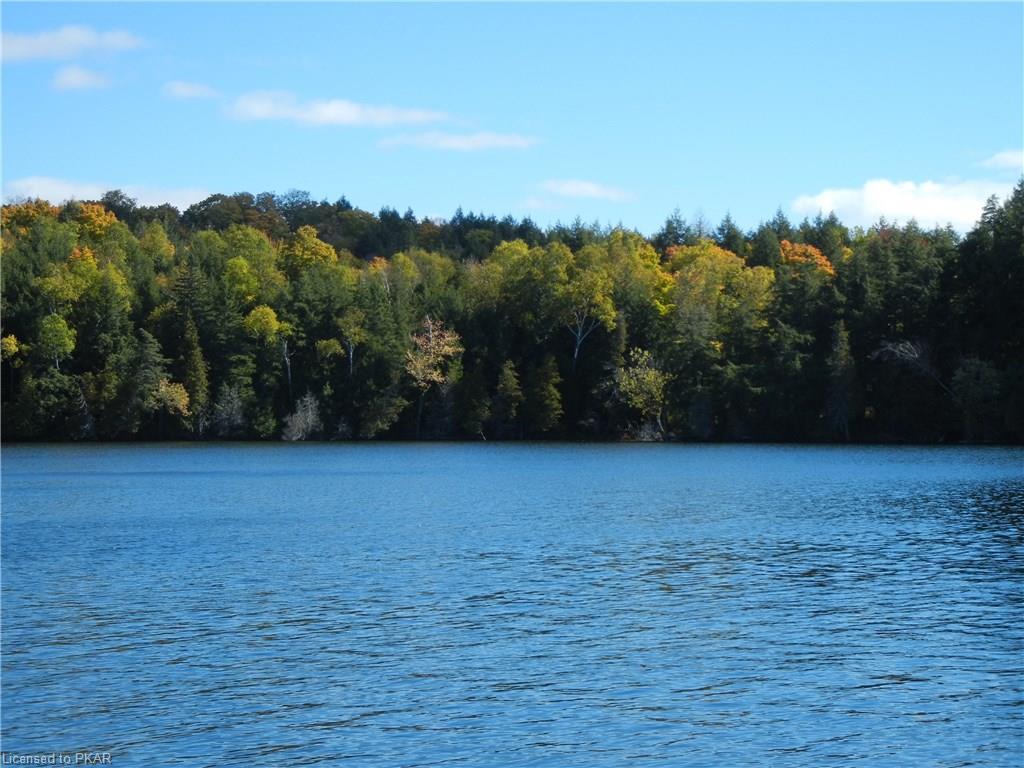 40 ACRES WINTER'S BAY ESTATES Road, North Kawartha Township, Ontario, Canada