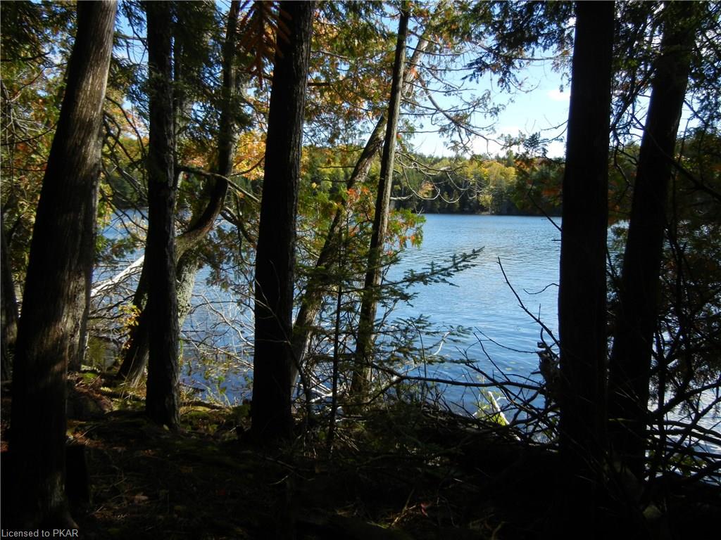 40 ACRES WINTER'S BAY ESTATES Road, North Kawartha Township, Ontario, Canada