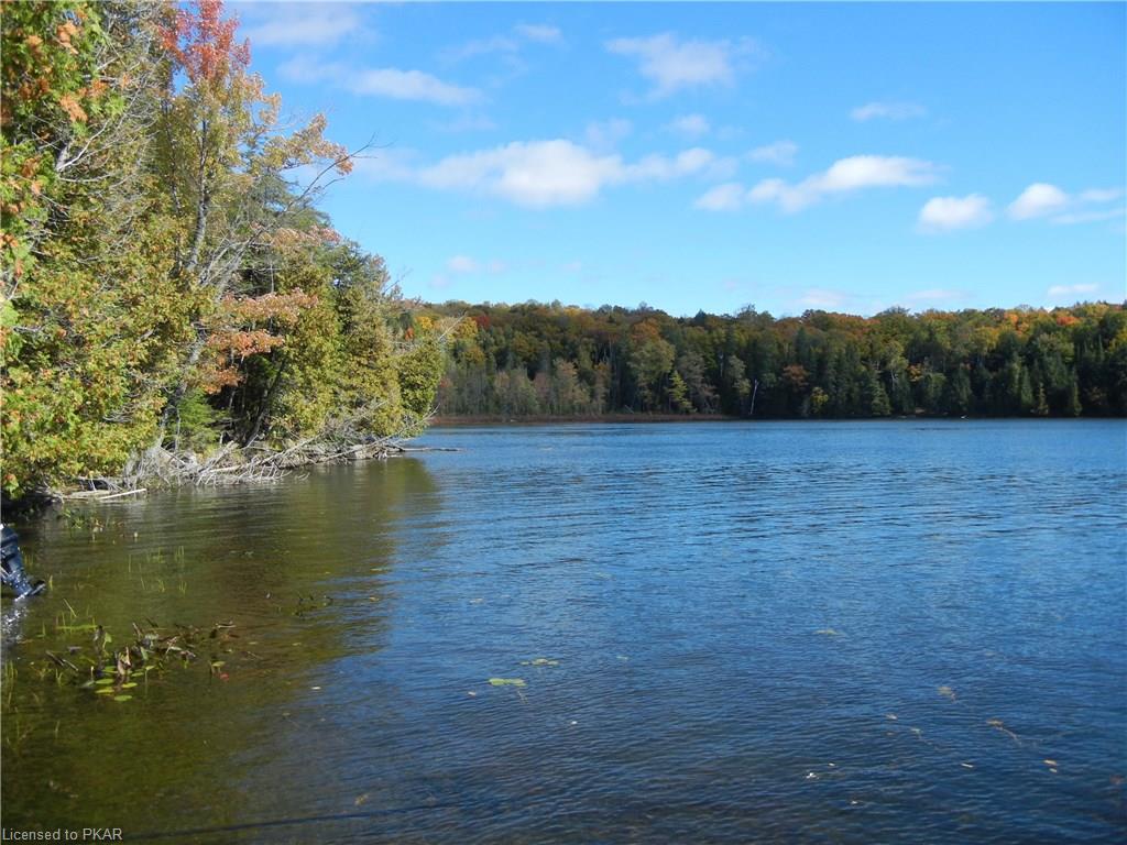40 ACRES WINTER'S BAY ESTATES Road, North Kawartha Township, Ontario, Canada