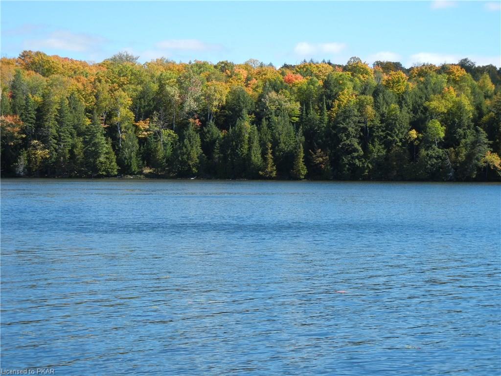 40 ACRES WINTER'S BAY ESTATES Road, North Kawartha Township, Ontario, Canada