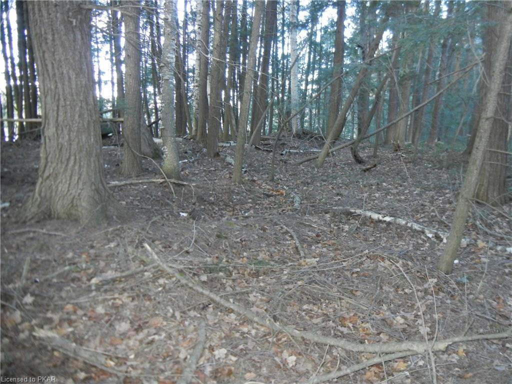 40 ACRES WINTER'S BAY ESTATES Road, North Kawartha Township, Ontario, Canada