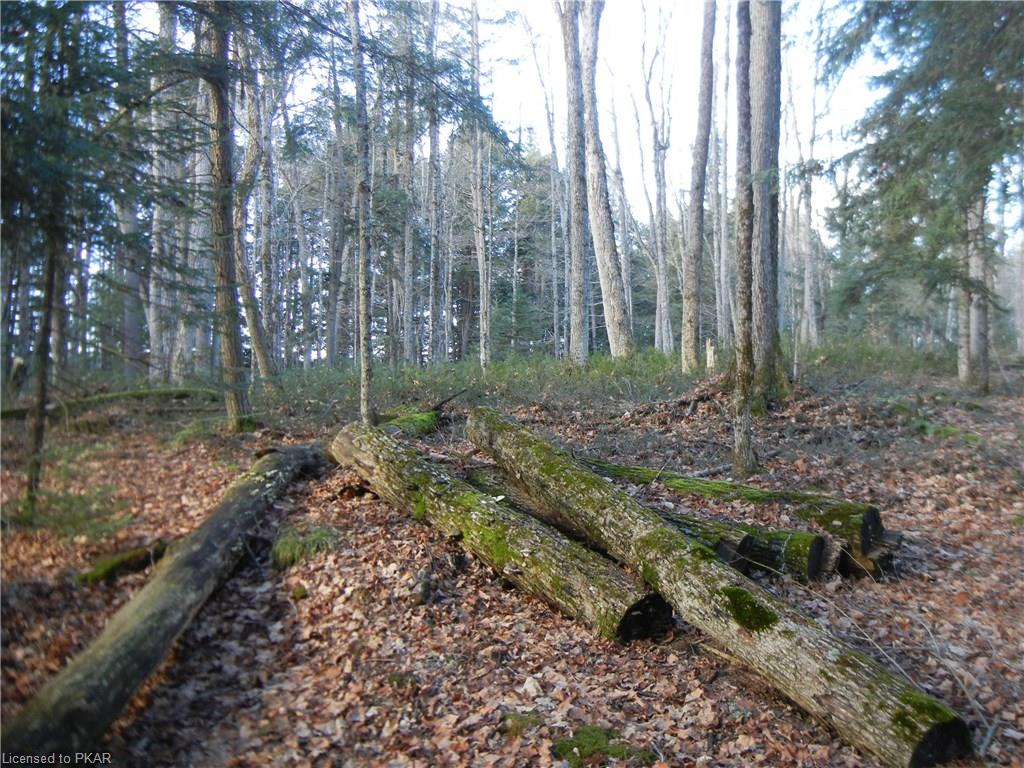 40 ACRES WINTER'S BAY ESTATES Road, North Kawartha Township, Ontario, Canada