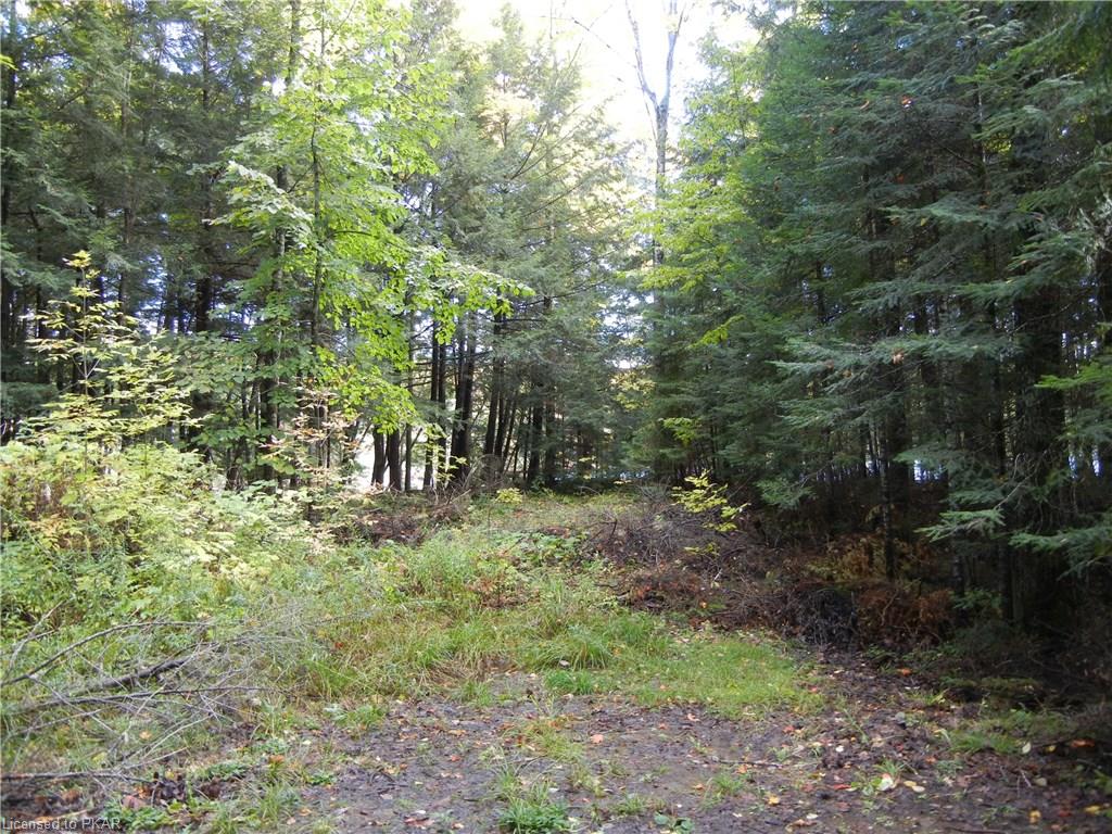 40 ACRES WINTER'S BAY ESTATES Road, North Kawartha Township, Ontario, Canada