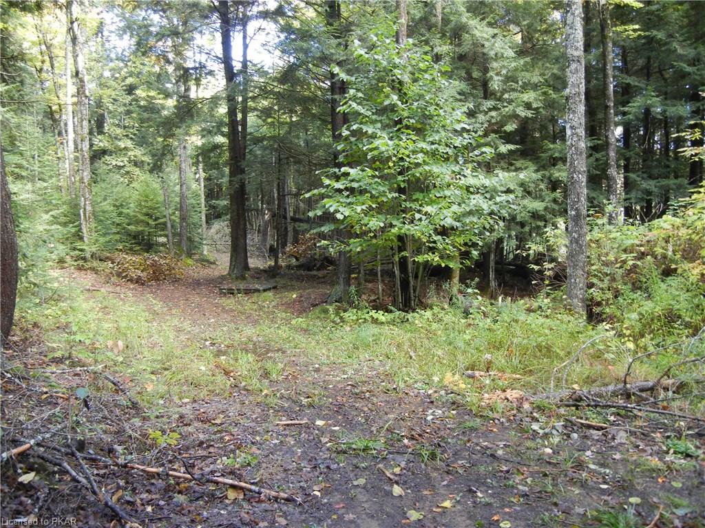 40 ACRES WINTER'S BAY ESTATES Road, North Kawartha Township, Ontario, Canada