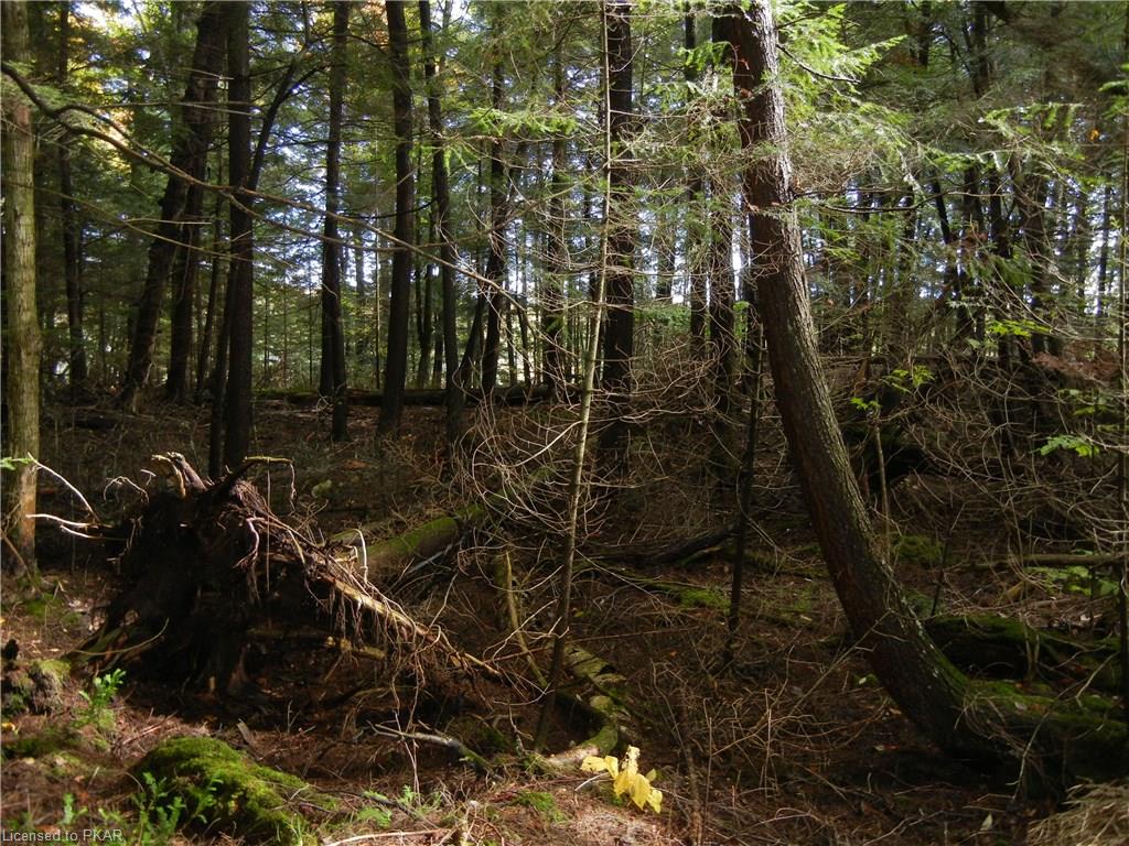 40 ACRES WINTER'S BAY ESTATES Road, North Kawartha Township, Ontario, Canada